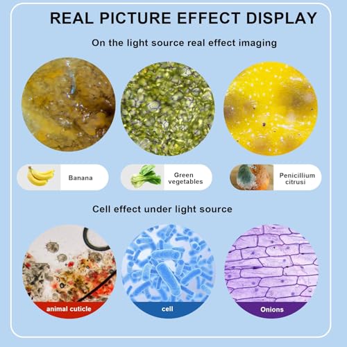 Compound MicroscopeWF10x and WF25x Eyepieces, Slides for Students, Home School Lab Microscope for Adults Suitable for Laboratory School (Bright White)