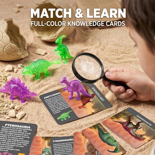12 Glow in The Dark Dinosaur Eggs, Excavation Kit with Magnifier - style: 12 Dinosaur Eggs(Glow in The Dark)