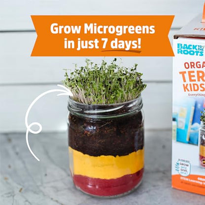 Back to the Roots Terrarium Grow Kit - Easy-to-Use DIY Set for All Ages Small