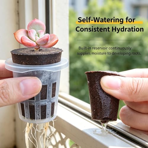 6 Pack Clear Hydroponic Nursery Pots with Humidity Dome for Seed Starting - color: Transparent-6 Pack