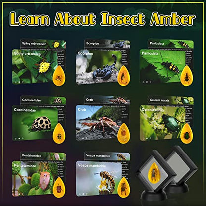 Gemstone Dig Kit (Unique Shape),Great STEM Science Kit for Kids- Excavate Your Own 16 Real Gemstones,Educational DIY Toys,Gem Digging Kit,Archaeology Geology Gifts for Boys & Girls Ages 6+