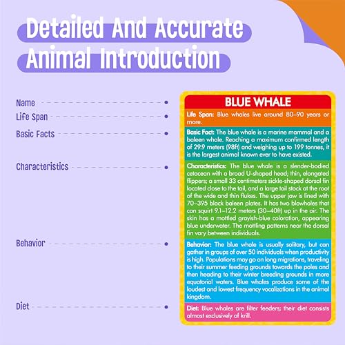 24PCS Animal Figurines with 24 Introducing Flashcards, Wild & Marine Animal Figures Safari and Underwater Creature Learning Montessori Toys Science Educational Matching Game for Homeschool, Kids - style: Wildlife+Marine Animal Set (including cards)