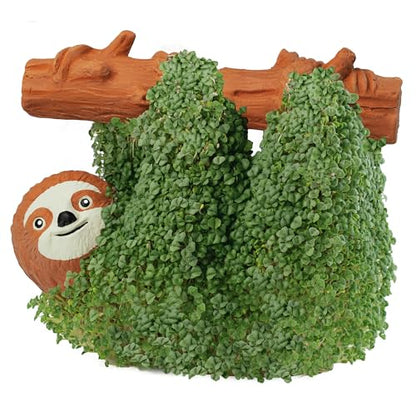 Chia Pet Sloth with Seed Pack, Decorative Pottery Planter, Easy to Do and Fun to Grow, Novelty Gift, Perfect for Any Occasion - style: Sloth