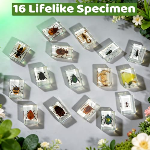 16 Pcs Real Insect in Resin Specimens Set with Magnifying Glass and Audiobooks, Various Butterflies, Bugs and Beetles Collection for Science Education, Classroom, Biology, Preschool, Home Display