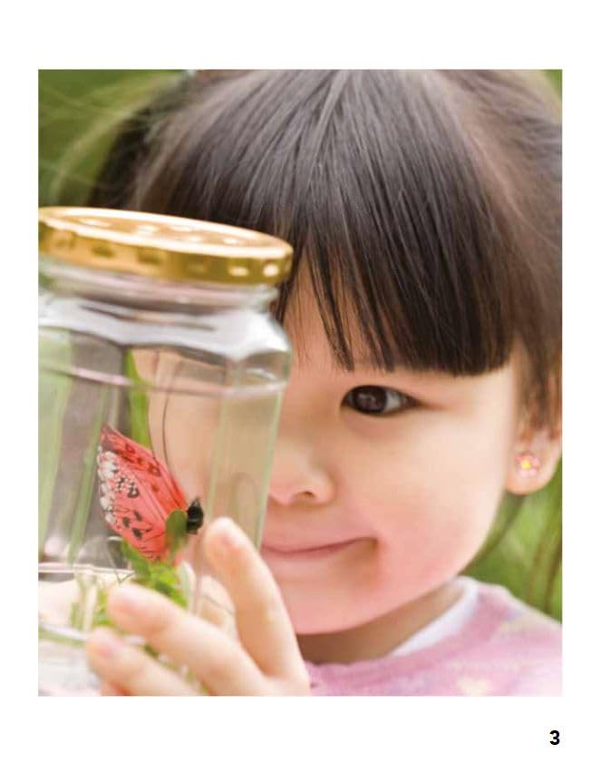 Five Senses