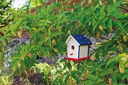 Beetle & Bee Bird House Kit for Kids, Build A Wooden DIY Outdoor Craft Set - style: Paint a Bird Base