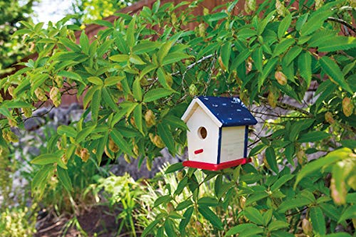 Beetle & Bee Bird House Kit for Kids, Build A Wooden DIY Outdoor Craft Set - style: Paint a Bird Base