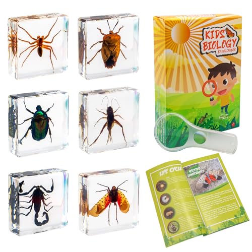 Insect Specimen Set, Bugs Collection Scientific Education Gift for Kids Aged 3-8-12 (Spider, Scorpion, Cricket, Chafers, Stink Bug, Spotted Lanternfly Resin Collection) - style: Spider, Scorpion, Cricket, Chafers, Stink Bug, Spotted Lanternfly Resin Colle