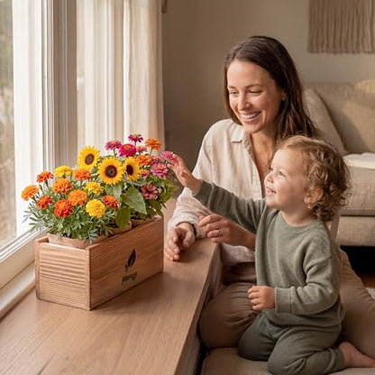 AVERGO Sunflower, Marigold & Zinnia Flower Seeds Growing Kit
