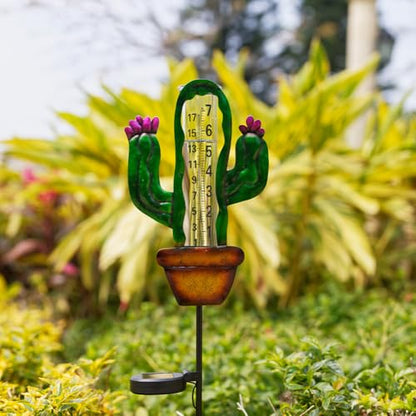 Stargarden Solar Rain Gauge Outdoor, Cactus Solar Powered Rain Gauge - color: Cactus