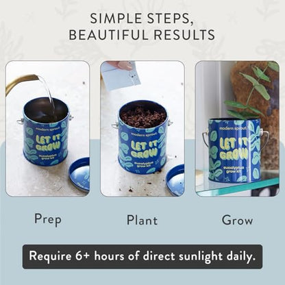 Modern Sprout Complimentary Color Grow Kits - Seed Starter Kit, Pack of 3 - size: Pack of 3