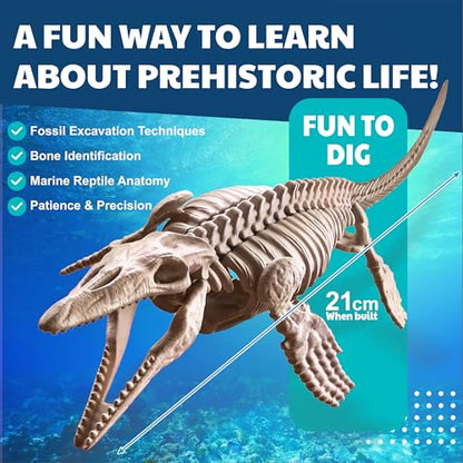 4M Dig a Mosasaurus Skeleton Kit for Kids Ages 8-12 – 11 Realistic Bones, STEM Fossil Excavation Set with Hammer, Chisel & Brush, Marine Reptile Digging Kit, Educational Paleontology Gift
