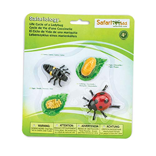 Safari Ltd. Life Cycle of a Ladybug - Educational Toy Figurines - Miniature Beetle Lifecycle Collection for Boys, Girls & Kids Age 4+ - color: Multicolor