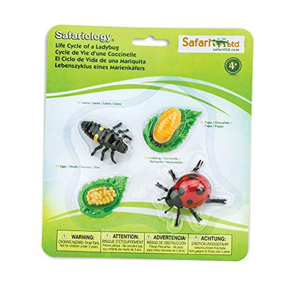 Safari Ltd. Life Cycle of a Ladybug - Educational Toy Figurines - Miniature Beetle Lifecycle Collection for Boys, Girls & Kids Age 4+ - color: Multicolor