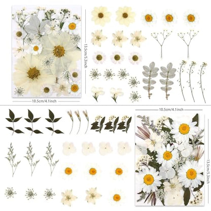 LUXEEASE 100P White Foliage Mix Dried Pressed Flowers - color: Pure White 100p
