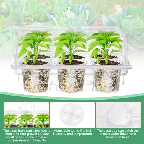Vesici 10 Pack Seed Starter Tray Kit Seedling Starter Trays with 60 Pcs 4 Inch Nursery Pots and Humidity Dome (60 Cells) Mini Greenhouse Plant Germination with Labels for Garden(Clear)