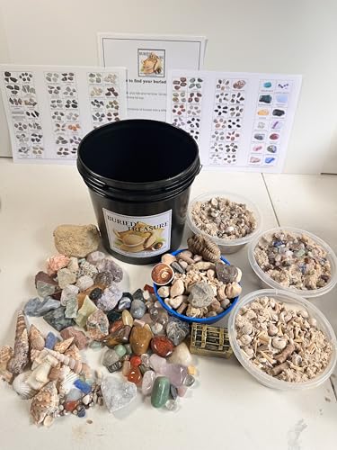 Generic Ultimate Mining Bucket/Gemstones/Crystals/Fossils/Seashells/Gifts for Boys and Girls/Unique Gifts