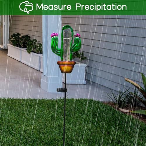 Stargarden Solar Rain Gauge Outdoor, Cactus Solar Powered Rain Gauge - color: Cactus
