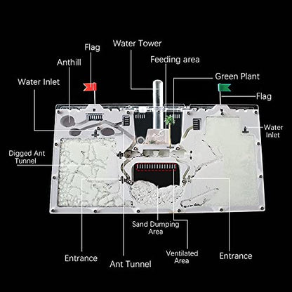 Ant Farm Castle, Ant Farm for Kids, Ant Colony Habitat Science Learning Kit - color: Ant Castle B