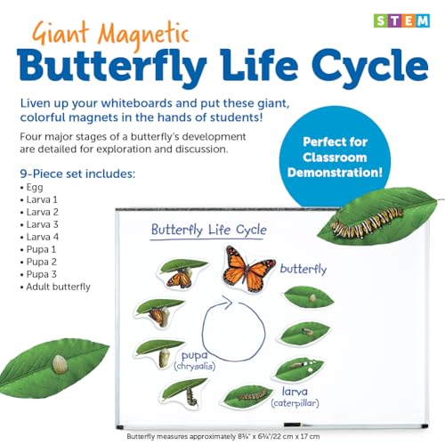 Learning Resources Giant Magnetic Butterfly Life Cycle - Write-and-Wipe Teaching Aids and STEM Decor, Butterfly Life Cycle Models, Dry Erase Accessories for Homeschool or Classroom