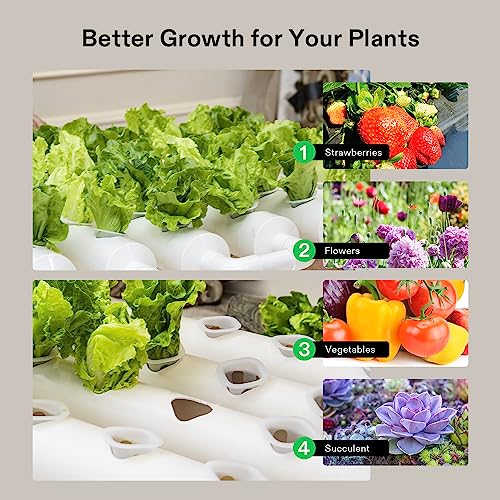 VIVOSUN Hydroponic Grow Kit, 54 Plant Sites 6 Food-Grade PVC-U Pipes Hydroponics Planting System with Water Pump, Pump Timer, Nest Basket and Sponge for Leafy Vegetable - size: 54(Wall mounted)
