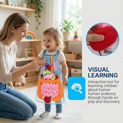 POPETPOP Human Organs Apron 3D Anatomy Teaching Apron for Kids Educational Learning Tool with Removable Plush Organs Preschool and Kindergarten Science Kit