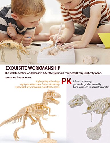 Dinosaur Excavation Kits for Kids,Dino Dig Kits T-Rex,Triceratops and Diplodocus,Dinosaur Fossil Excavation Kits,Children's Popular Science Education Toys - Dinosaur DIY Toys（Three-piece Suit）