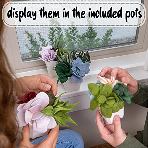 Hapinest DIY Potted Felt Succulents Craft Kit for Adults Women Teens and Seniors, Arts & Crafts for Ages 6 Years and Up