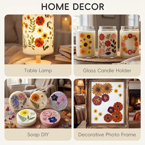 LUXEEASE 100P Autumn Dried Pressed Flowers, Warm Tone - color: Autumn Warm-tone 100p