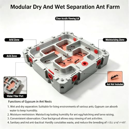 Ant Farm Nest Kit – DIY Science Terrarium with Water Tower, Nurturing Room & Large Observation Area for Live Ants (Ant Nest A Plus) - color: GREY3