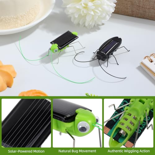 6PCS Solar Powered Bugs Toys Lifelike Solar Crickets Grasshopper Insect Toys for Boys Girls Fake Roaches Moving Simulation School Science Educational