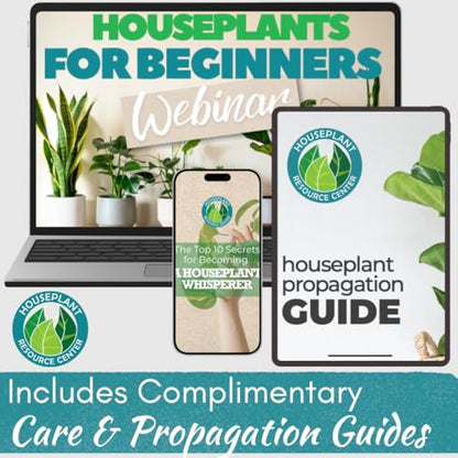 Houseplant Prop Drops – Rooting Hormone for Cuttings & Propagation Promoter | Root Growth Hormone & Root Stimulator | Supports Faster Root Development in Water & Soil Propagation | 8 oz (Pack of 2) - size: 8 ounces (Pack of 2)