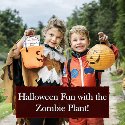 Zombie Plant Seed Packets – Grow a Live Sensitive Plant that Plays Dead When Touched! Indoor Plant Seeds & Educational STEM Activity | House Plant Seeds | Unique Garden Seeds – 2 Pack - style: Indoor Planting - 2 Pack