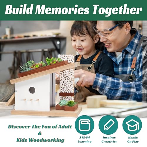 Modern Birdhouse Woodworking Kit, Build Your Own DIY Bird House Kit for Kids and Adults, DIY Woodcraft Building Projects with Paint Set - style: Modern