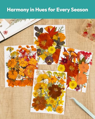 Dried Flowers, Resiners 100Pcs Fall Pressed Flowers for Craft Real Natural Dried Flowers Dry Leaves Kit for DIY Making Crafts Resin Soap Candle Scrapbook Supplies Card Making Jewelry - color: Fall Color 100pcs