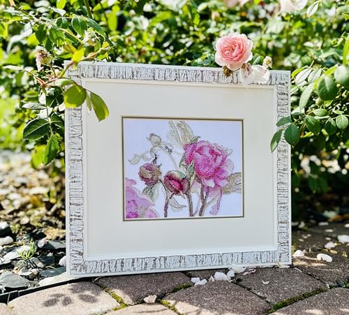 Aine A1009 Peonies. Delight Counted Cross Stitch Kit 7 x 6 in - size: Peonies. Delight