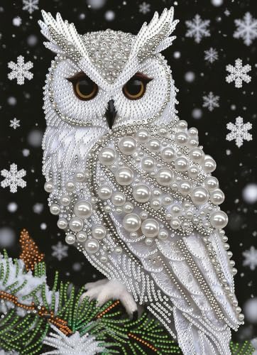 5D Diamond Art Pearl Painting Kits for Adults, DIY Owl Diamond Art Kits - color: OWL 003