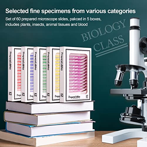 Prepared Plastic Microscope Slides with Specimens for Kids, Microscope Sample Slides Full Range of Animal/Plant/Insect/Blood Biology Slides Gift Set for Kids Microscope (60PCS) - color: 60PCS