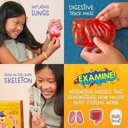 Wow in The World The Amazing Human Body Kit by Thames & Kosmos, Interactive Mechanical Anatomy Model w/Pumping Heart, Lungs, Digestive Tract, Glow-in-The-Dark Bones, Brain & More, Science for Ages 4+