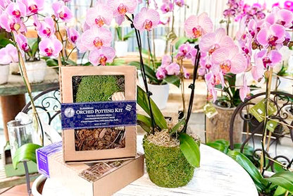 SuperMoss (90446 Orchid Potting Kit, Complete Orchid Care Set with Preserved Moss, Orchid Bark, Floral Clips and Stakes, 120 Cu. in., Mountain Moss, Green - size: 120 Cu. In., style: Mountain Moss