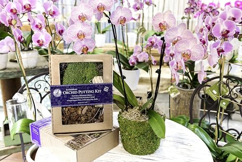 SuperMoss (90460 Orchid Potting Kit, Complete Orchid Care Set with Preserved Moss, Orchid Bark, Floral Clips and Stakes, 200 Cu. in., Mountain Moss, Green - size: 200 Cu. In., style: Mountain Moss