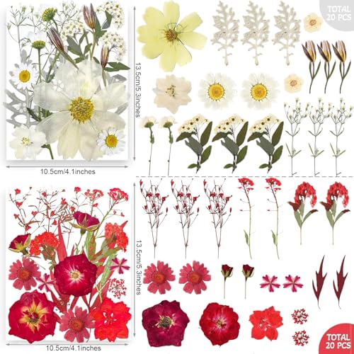 301Pcs Multi-Style Dried Pressed Flowers & Leaves (10 Packs) - Pressed Flower for Crafts, Resin, Nail Art, Candle, Soap, Scrapbooking & Frame Decor