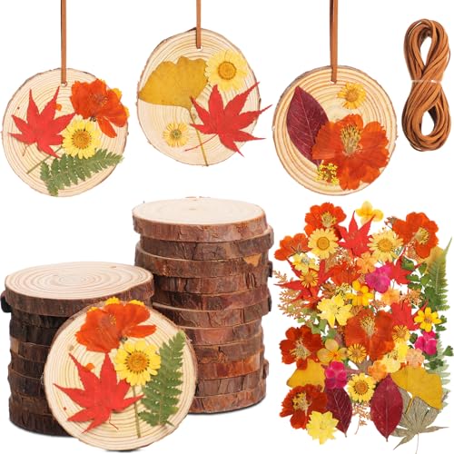 20 Set DIY Crafts Wooden Slices with Pressed Flower Fall, Warm - style: Warm