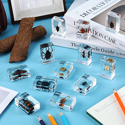 12 Pcs Insect Specimens for Kids Bug Collection Kit, Ladybug - style: Ladybug