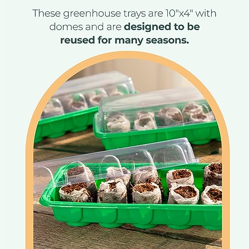 Window Garden Mini Greenhouse Seed Starter Kit – Reusable Seedling Trays - Indoor Germination Tray with Humidity Dome and Soil Pods - Windowsill Seeds Germinator - 30 Cells Starting Trays, 3 Pack