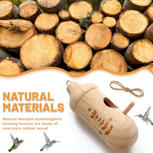 Briwooody 12 Pack Hummingbird House Wooden DIY Kit with Paint and Brushes