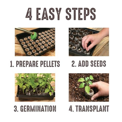 Jiffy Seed Starting Tray Kit - 36 Cell, Bonus 3 Pack, Seeding Starter Kit - 11 x 11 x 4.25 in - style: 3 Greenhouse Kit