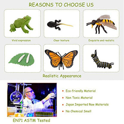 JOKFEICE 13pcs Insect Toys Life Cycle of Butterfly, Honey Bee & Frog Action Model, Plastic Bug Figurines, Early Educational Toys, Science Project, Christmas Birthday Gift for Kids