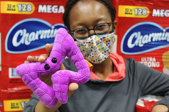 GIANT MICROBES Colon Plush, Gastroenterology Gifts, Organ Plushies