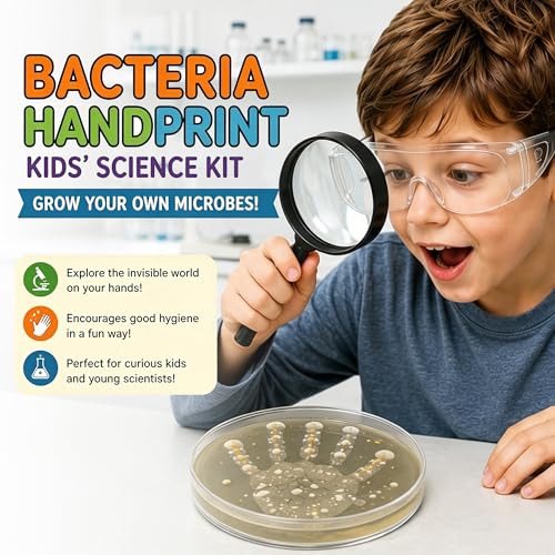 Kids Bacteria Handprint Kit - 2 Giant 150mm Prepoured Agar Petri Dishes - color: Kids Bacteria Handprint Kit